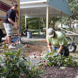 A Horticulture student helps a landscaping professional plant shrubbery.