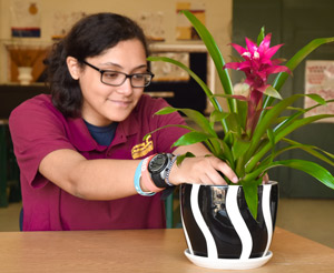 An RMCTC Horticulture student repots a flower.