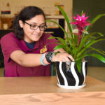 Horticulture student repots a plant.